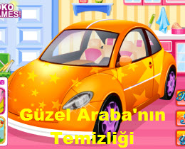 Güzel Araba'nın Temizliği