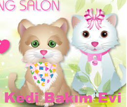 Kedi Bakım Evi