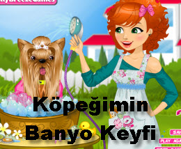 Köpeğimin Banyo Keyfi