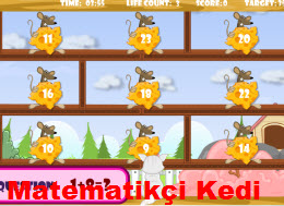 Matematikçi Kedi