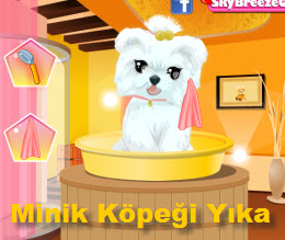 Minik Köpeği Yıka