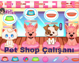 Pet Shop Çalışanı