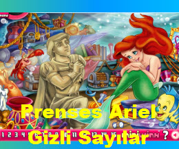 Prenses Ariel Gizli Sayılar