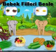 Bebek Filleri Besle