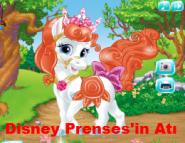 Disney Prenses'in Atı