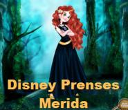 Disney Prenses Merida
