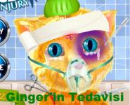 Ginger'in Tedavisi