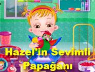 Hazel'in Sevimli Papağanı