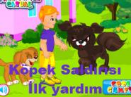 Köpek Saldırısı İlk yardım