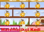 Matematikçi Kedi