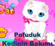 Pofuduk Kedinin Bakımı