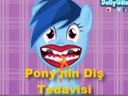 Pony'nin Diş Tedavisi