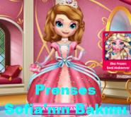 Prenses Sofia'nın Bakımı