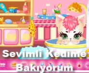 Sevimli Kedime Bakıyorum