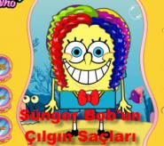 Sünger Bob'un Çılgın Saçları