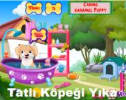 Tatlı Köpeği Yıka