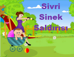 Sivri Sinek Saldırısı